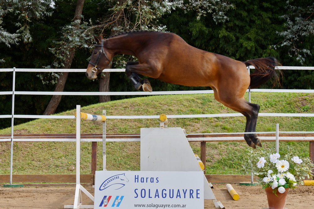 SOLAGUAYRE CAREN